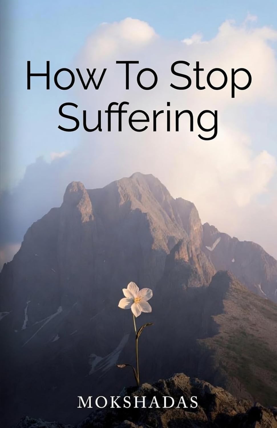 Cover of How To Stop Suffering